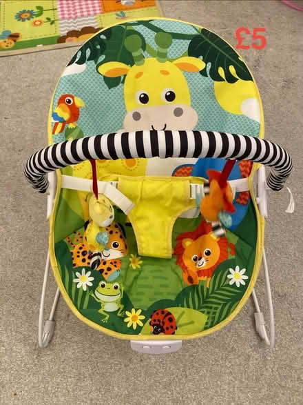 Photo of free Musical and vibration bouncer (Upper Basildon RG8) #1