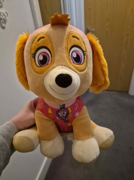 Photo of free Paw patrol teddy (Dursley GL11) #1