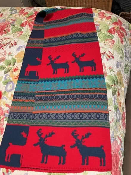 Photo of free Xmas skirt and scarf (south sunnyvale) #4