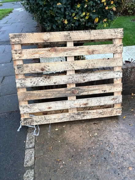 Photo of free Wooden Pallet (Portslade) #1