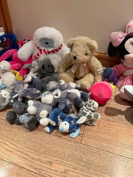 Photo of free Soft toys (Llanbadarn fawr LD1) #1