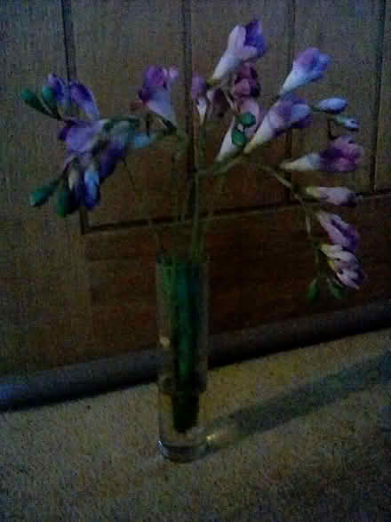 Photo of free Artificial Flowers in Vase (Hayling Island PO11) #1