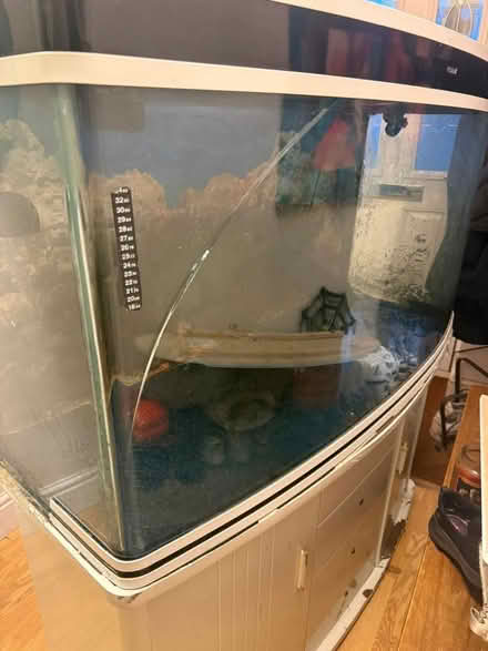 Photo of Fish tank (Heywood OL10) #1
