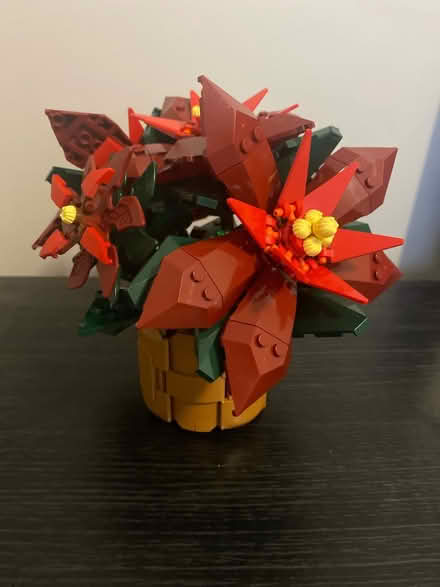Photo of free Lego Poinsettia (Tadworth KT20) #1