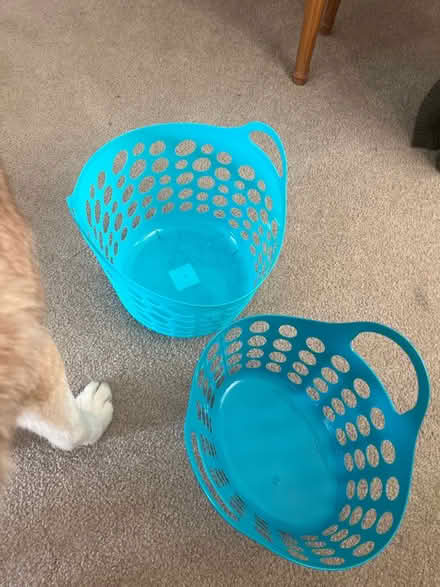Photo of free 2 blue baskets (Berryessa) #1