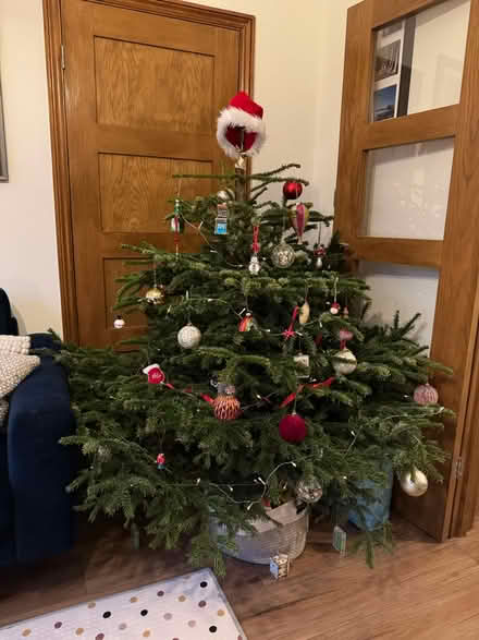 Photo of free Christmas tree (Croydon, CR0) #1