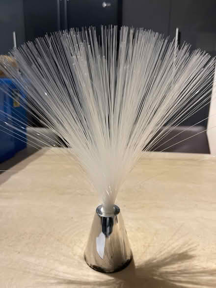 Photo of free 2 decorative fibre optic lights (Heswall CH60) #2