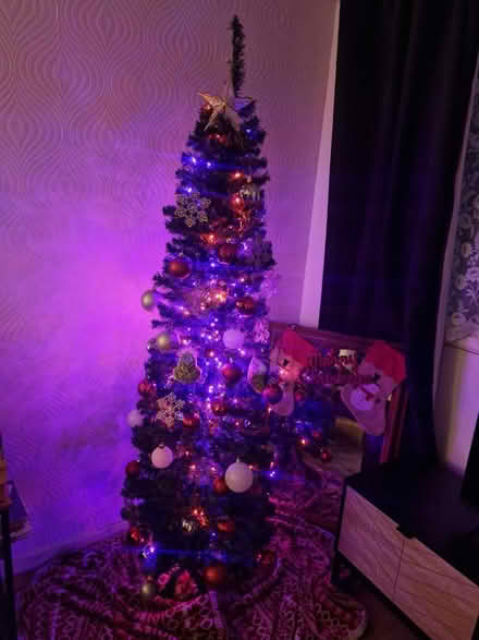 Photo of free Christmas tree with decorations (TF7 5PR) #1