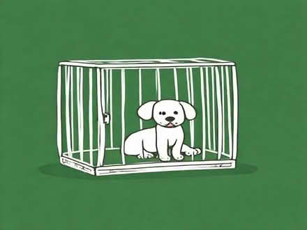 Photo of dog crate (Felpham PO22) #1