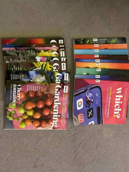 Photo of free 2024 issues (Langley SL3) #1