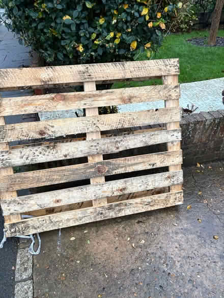 Photo of free Wooden Pallet (Portslade) #2