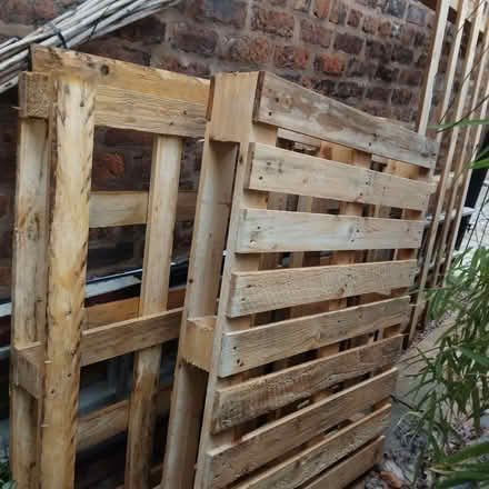 Photo of free 4 pallets (Handbridge CH1) #1