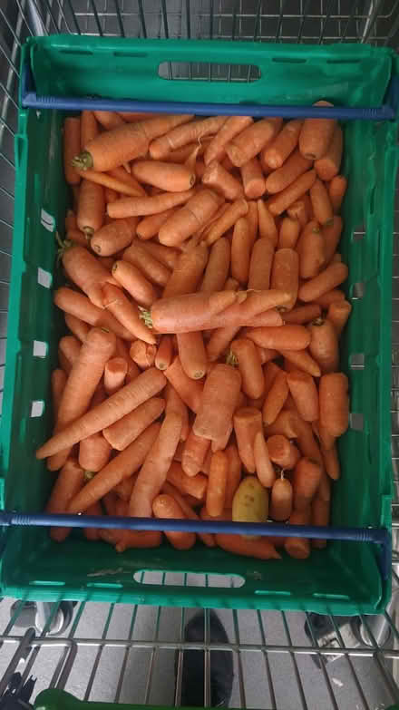 Photo of free Lots of bread and carrots (E14 Isle of Dogs) #2