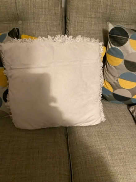 Photo of free Cushions (Norwich) #2