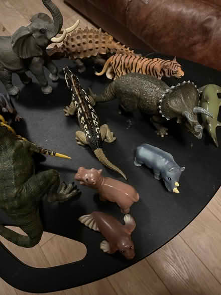 Photo of free Set of dinasour toys (Caldecott OX14) #1