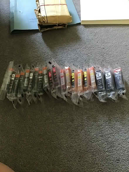 Photo of free Canon Ink Cartridges (Greenstead CO4) #1