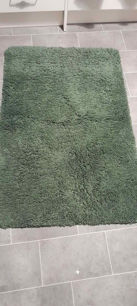 Photo of free Fluffy green rug, small (CO11) #1