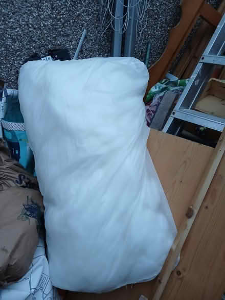 Photo of free Large cushion (Morecambe LA4) #1