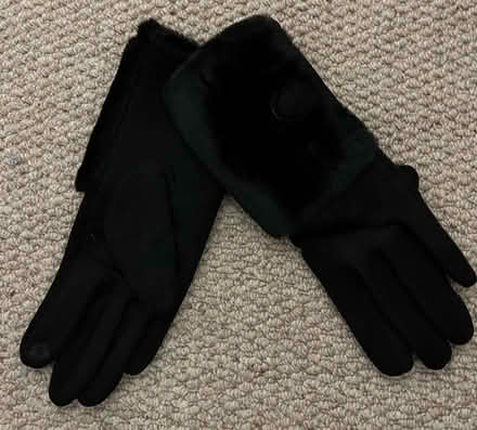 Photo of free Brand New Black Gloves (Hopeman IV30) #1