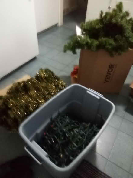 Photo of free Miscellaneous Xmas Decor - Garlands (Manor Park - Rockcliffe Park) #1