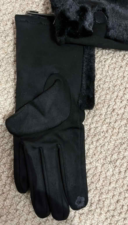 Photo of free Brand New Black Gloves (Hopeman IV30) #4