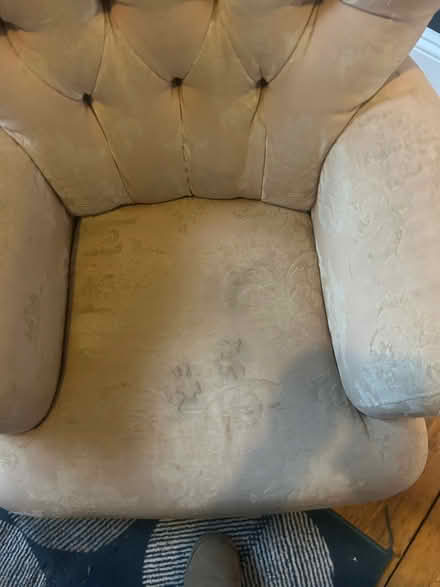 Photo of free Oversized single chair (Fiveways BN1) #2