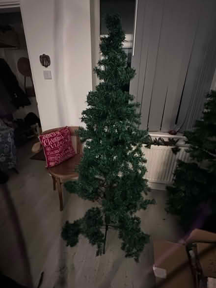 Photo of free 5 foot Christmas tree (Chichester PO19) #1