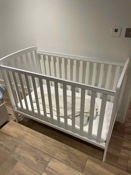 Photo of free John Lewis Elementary cot (Bethnal Green E2) #1