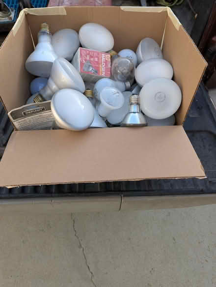 Photo of free Various & Sundry Incandescent Bulbs (Leucadia) #1