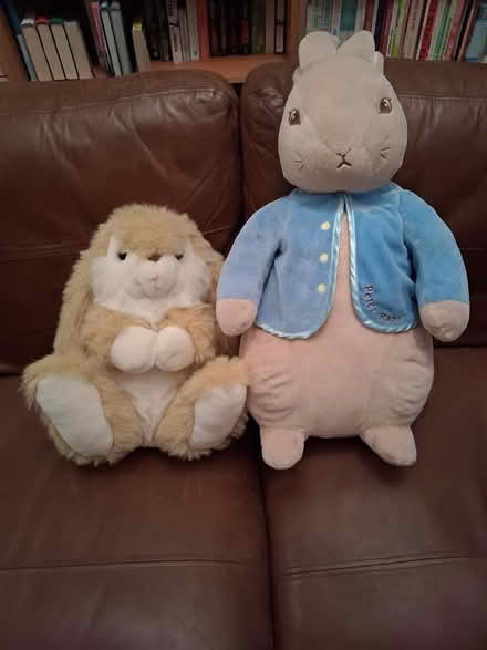 Photo of free Peter Rabbit and Thumper (Walkern SG2) #1