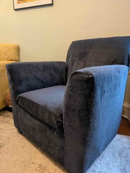 Photo of free Armchairs (North Center) #2