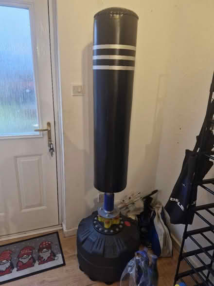 Photo of free Dripex Free Standing Punch Bag (TF7 5PR) #1