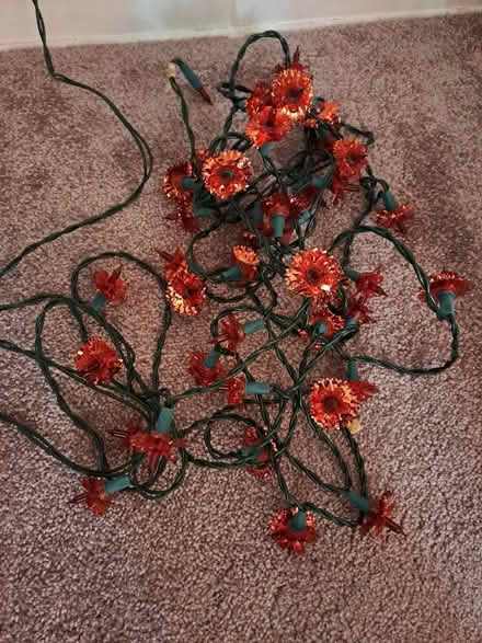 Photo of free Fairy lights (Harefield SO19) #2