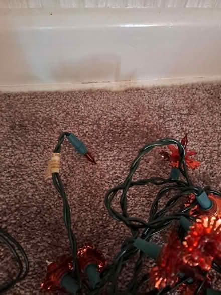 Photo of free Fairy lights (Harefield SO19) #3