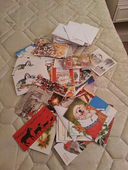 Photo of free Christmas gift bags / wrapping paper / cards (Harefield SO19) #3