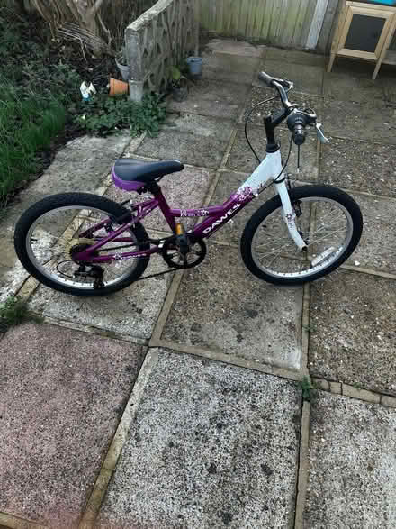 Photo of free 2 bIkes (Epsom, KT19) #1