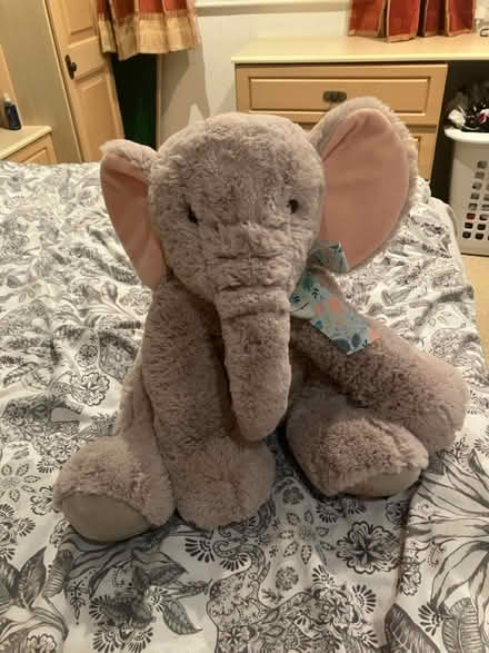Photo of free Elephant teddy (BA2) #1