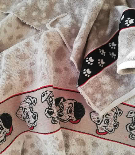 Photo of free disney doggie bath towel (NW10) #1