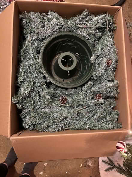 Photo of free 6ft Christmas Tree (Dogsthorpe) #1