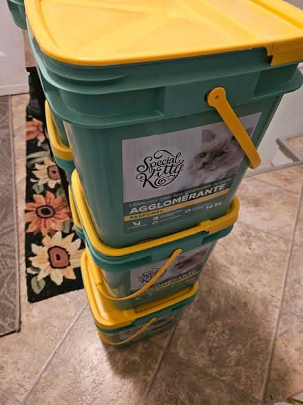 Photo of free 6 big empty cat litter containers (Near the experimental farm) #1