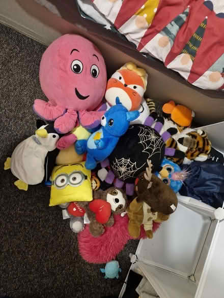 Photo of free Dolls (TF7 5PR) #2