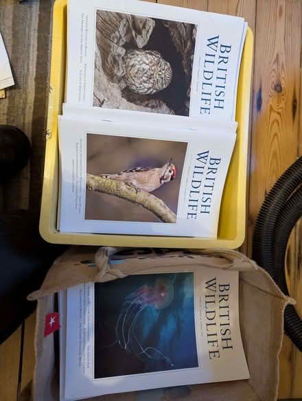 Photo of free Approx 100 British wildlife magaizines (Eastbourne BN21) #1