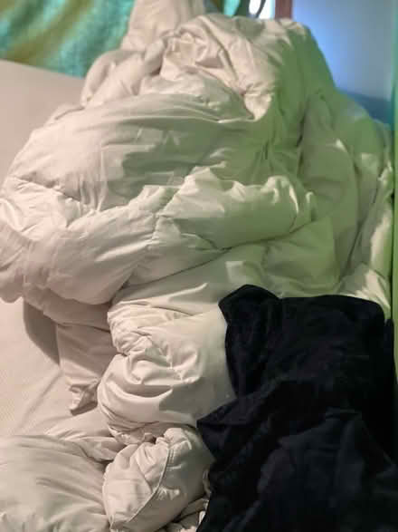 Photo of free Feather down king duvet in good condition, includes cover (Somers Town NW1) #1