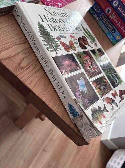 Photo of free History of the British Isles book (Southdown) #2