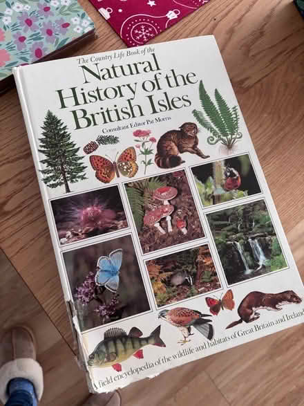Photo of free History of the British Isles book (Southdown) #1