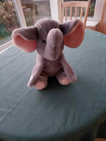 Photo of free Soft toy, grey elephant (Hingham NR9) #1
