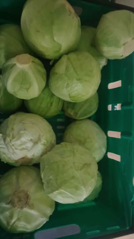 Photo of free Crates of fresh fruit and vegetable (E14 Isle of Dogs) #4