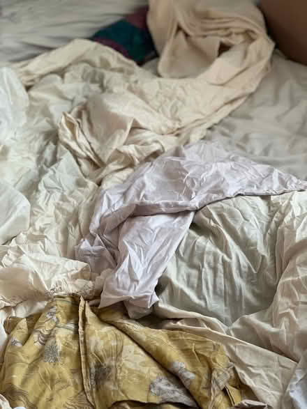 Photo of free Various single bedding and pillow cases to collect weekend (Somers Town NW1) #4