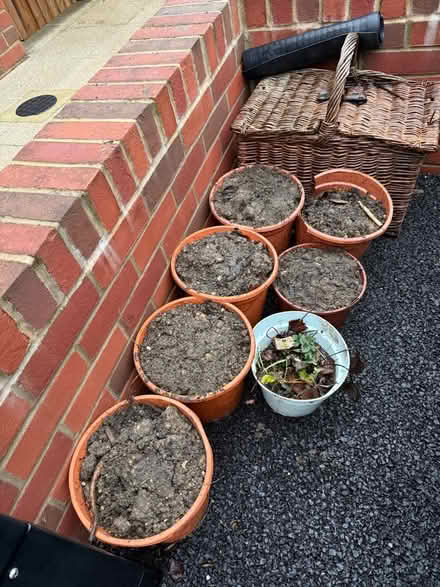 Photo of free 🪴 Garden soil (Chipping Barnet EN5) #1
