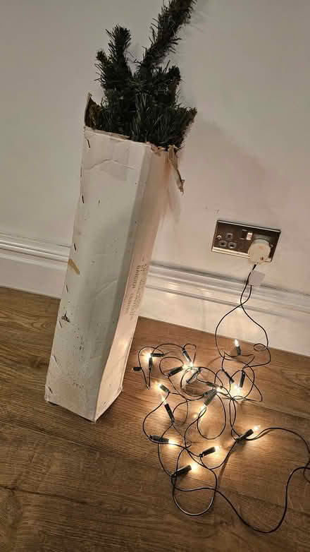Photo of free Three foot Christmas Tree and some lights (Didsbury M20) #1
